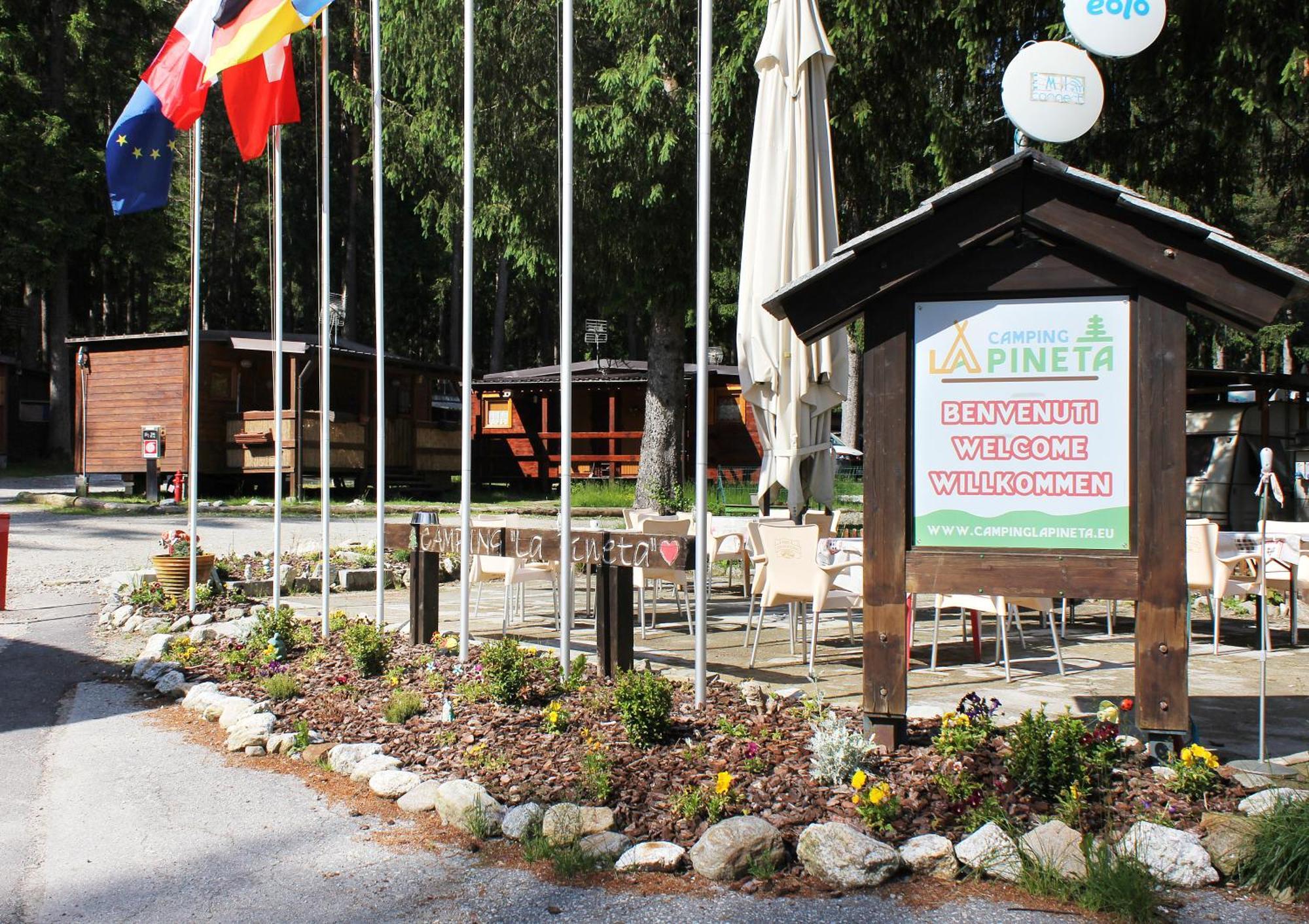 Camping La Pineta Santa Maria Maggiore Ngoại thất bức ảnh